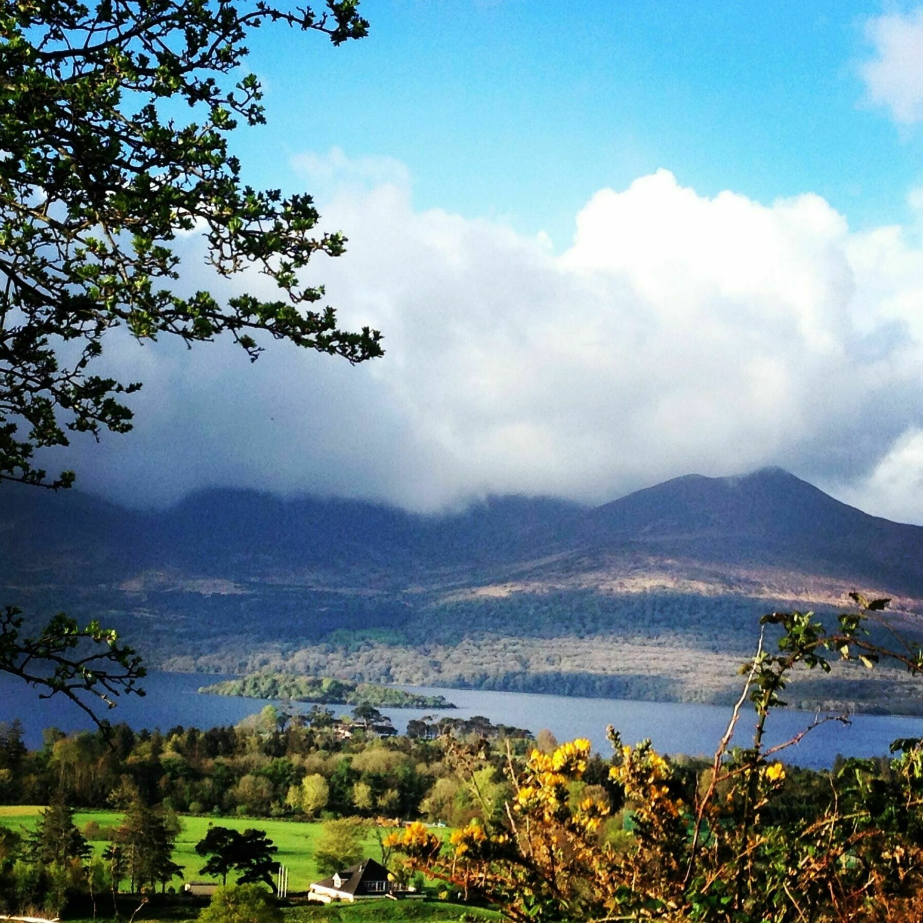 Innisfallen Hotel Fossa エクステリア 写真